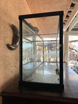 Fish Tank Thick Glass