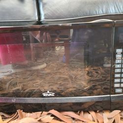 Rival Countertop Microwave