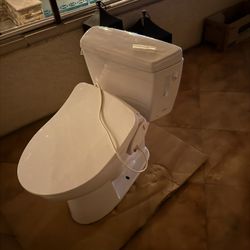 Toilet With Bidet Attachment 