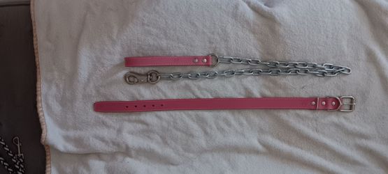 Dog leash and collar