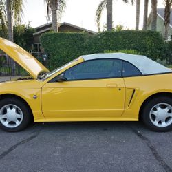 1999 Ford Mustang