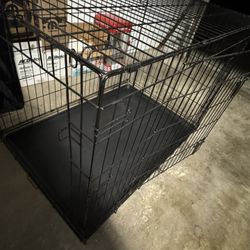 Dog Kennel