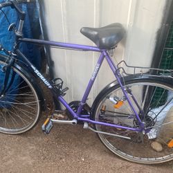 Schauff  28 Inch Bike 