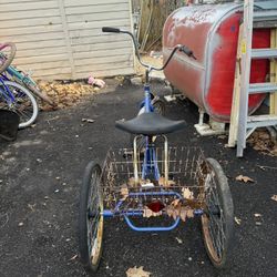 Adult Tricycle 
