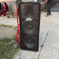 Peavey PV215 Speakers.