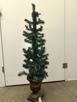 Entrance Tree With Clear Lights