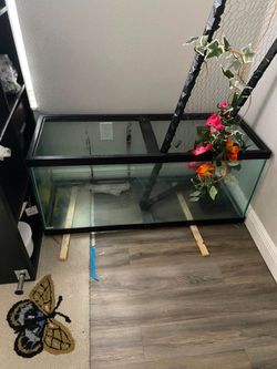 Animal Glass Enclosure