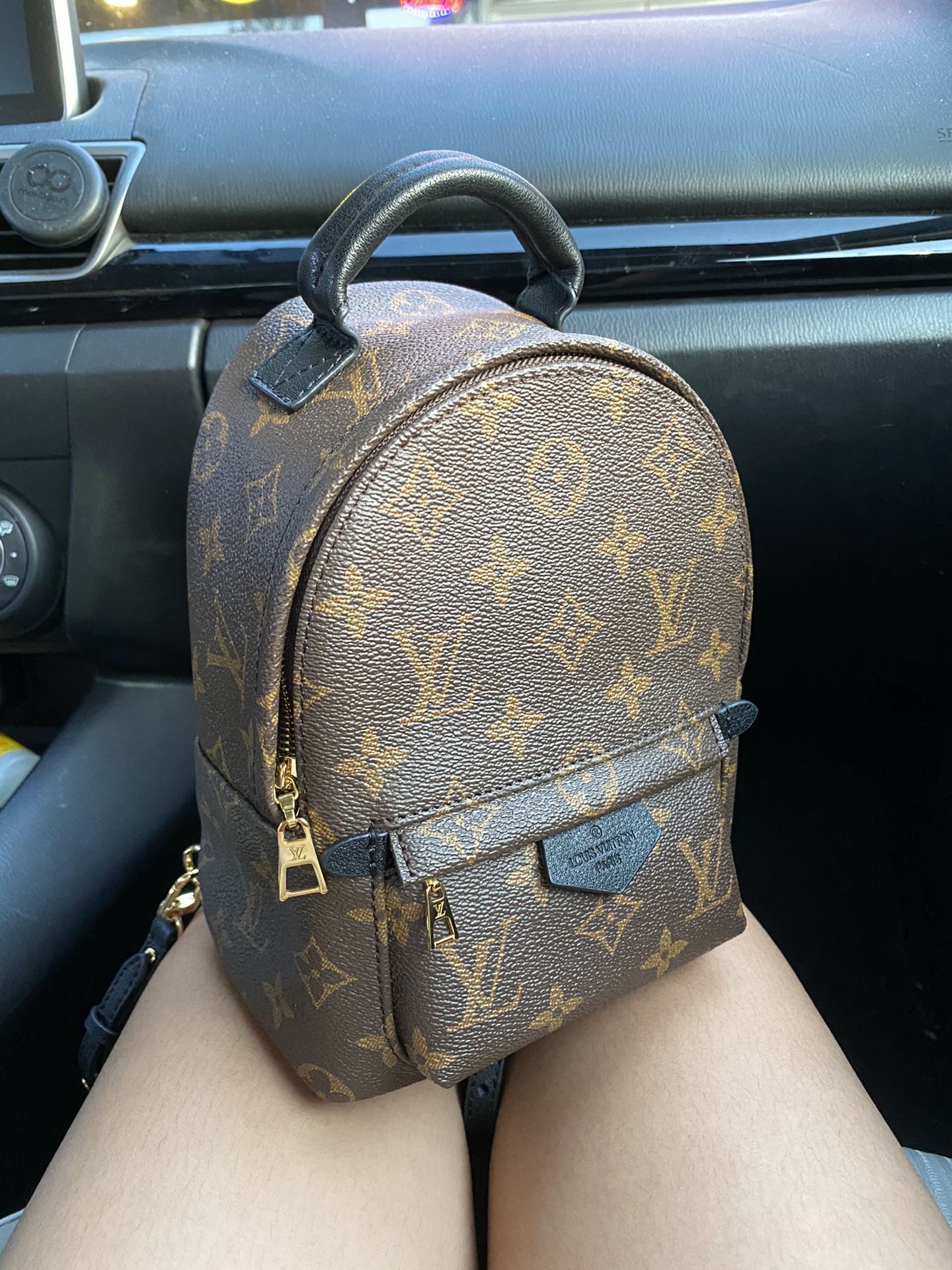 LV Palm Springs Mini - Monogram