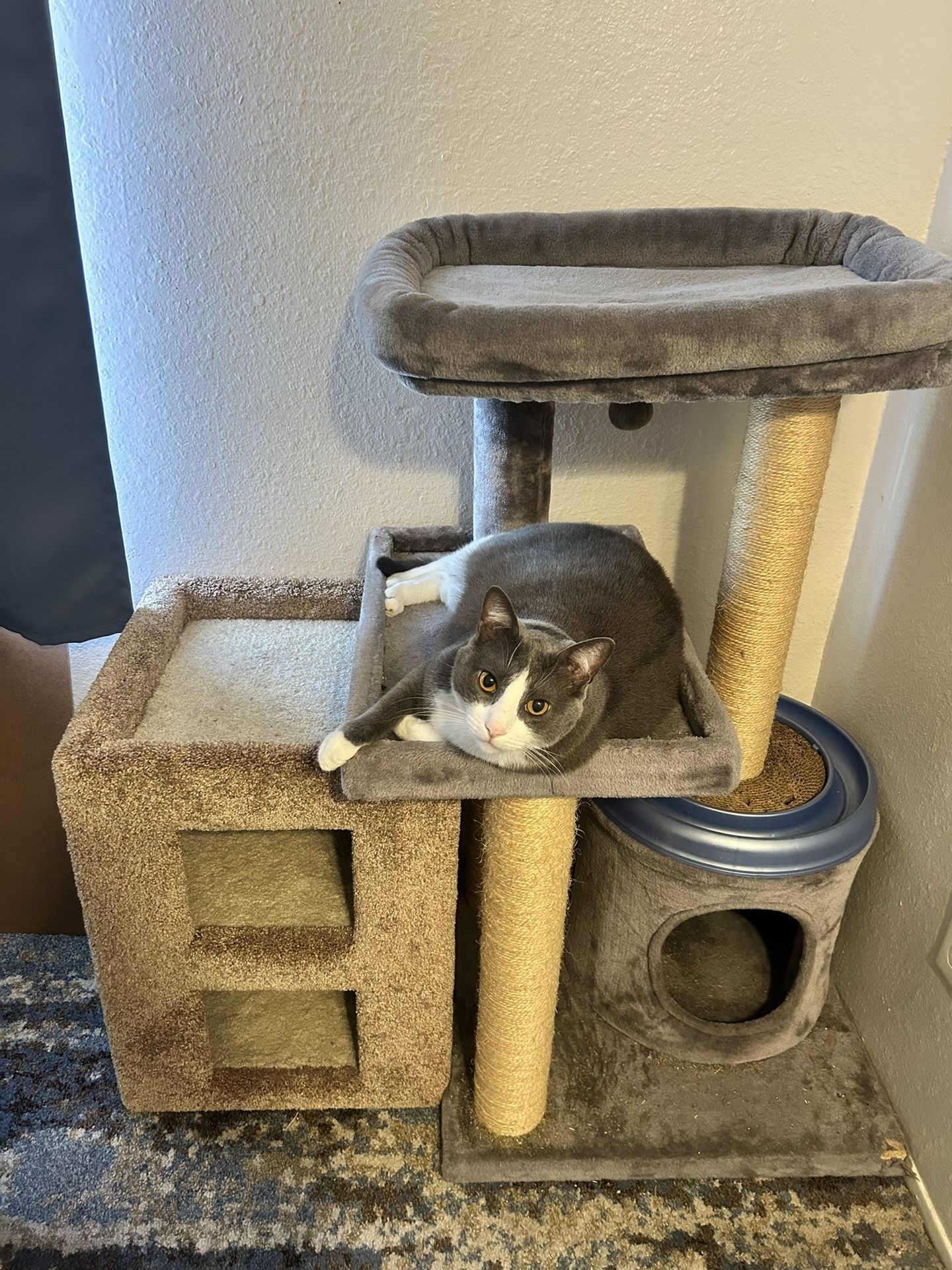 Large Cat Tower & Condo (cat not included)