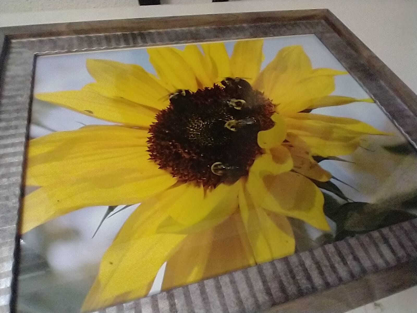 Sunflower Picture Framed Decor