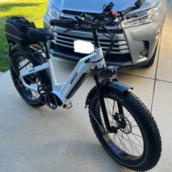 HIMIWAY Zebra Electric Bike 