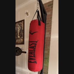 Custom Punching Bag Stand + Bag