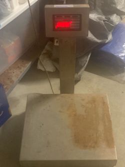 Commercial digital scale