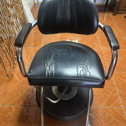 Salon Chair
