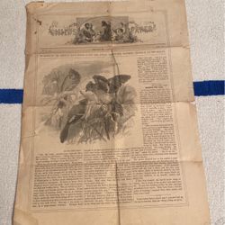 The Child’s Paper, 1863