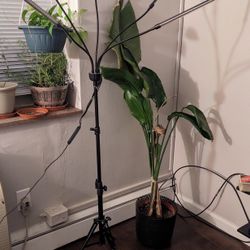 LED Grow Lights For Plants