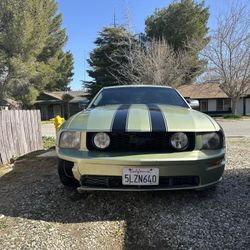 2005 Ford Mustang