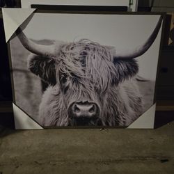 Large Bull Canvas Wall Art – Rustic Western / Farmhouse Decor