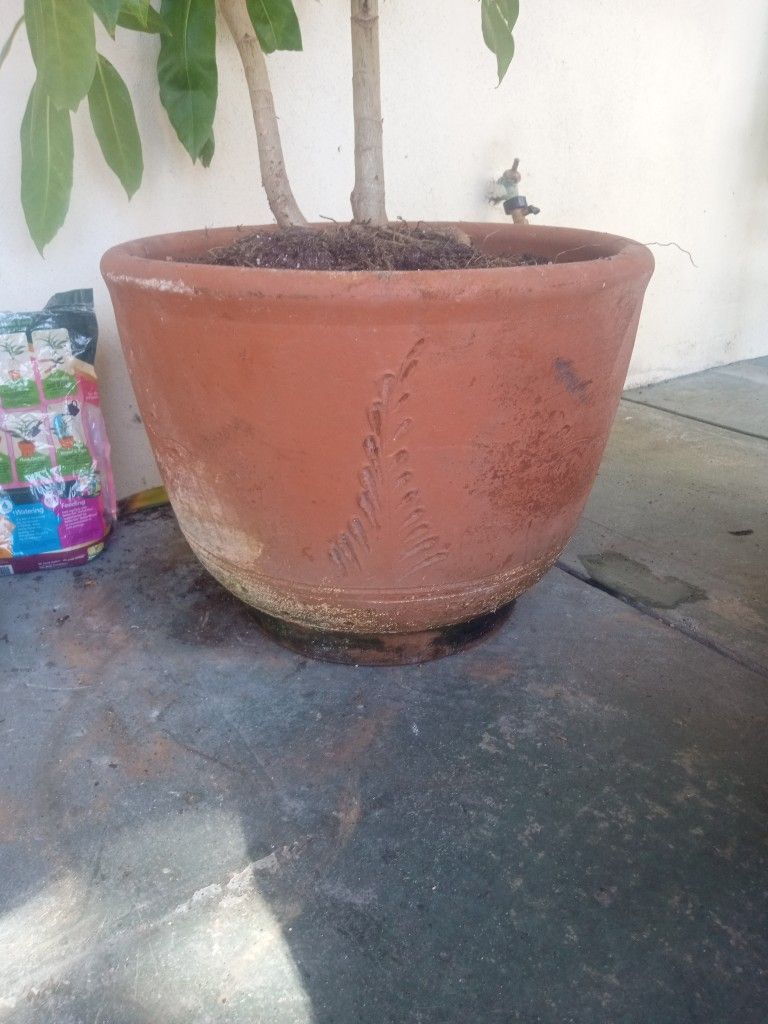 Old Clay Pots And One Porcelain