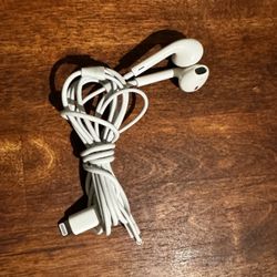 Apple Headphones Lightning Port