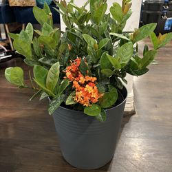 Large Flower Pot 