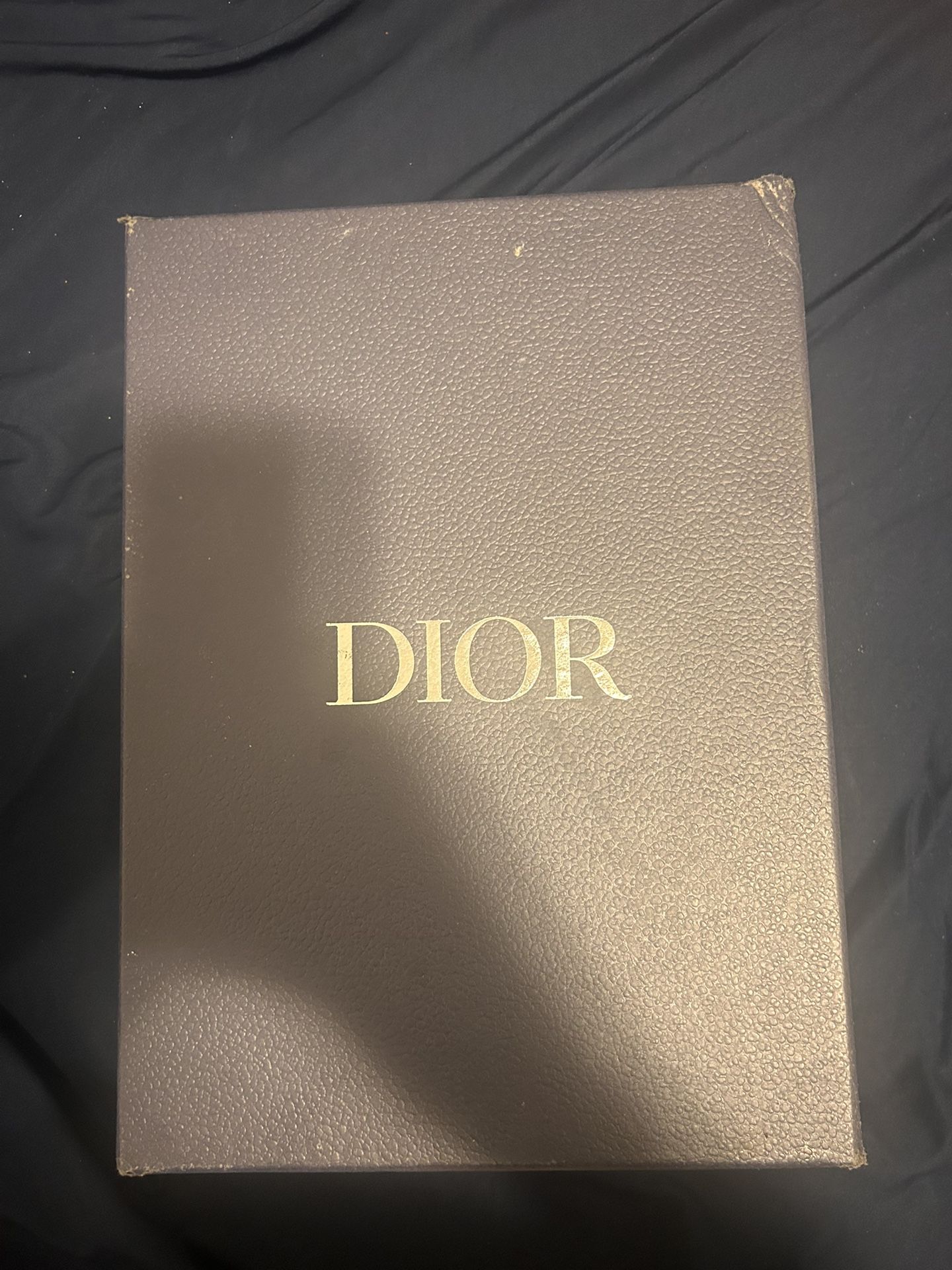 Dior B22