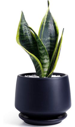 New in box Ceramic Plant Pot Flower Planters - 5.9” with Drainage Hole Saucer Medium Pots for Indoor Plant - Enough Space - Matte Black