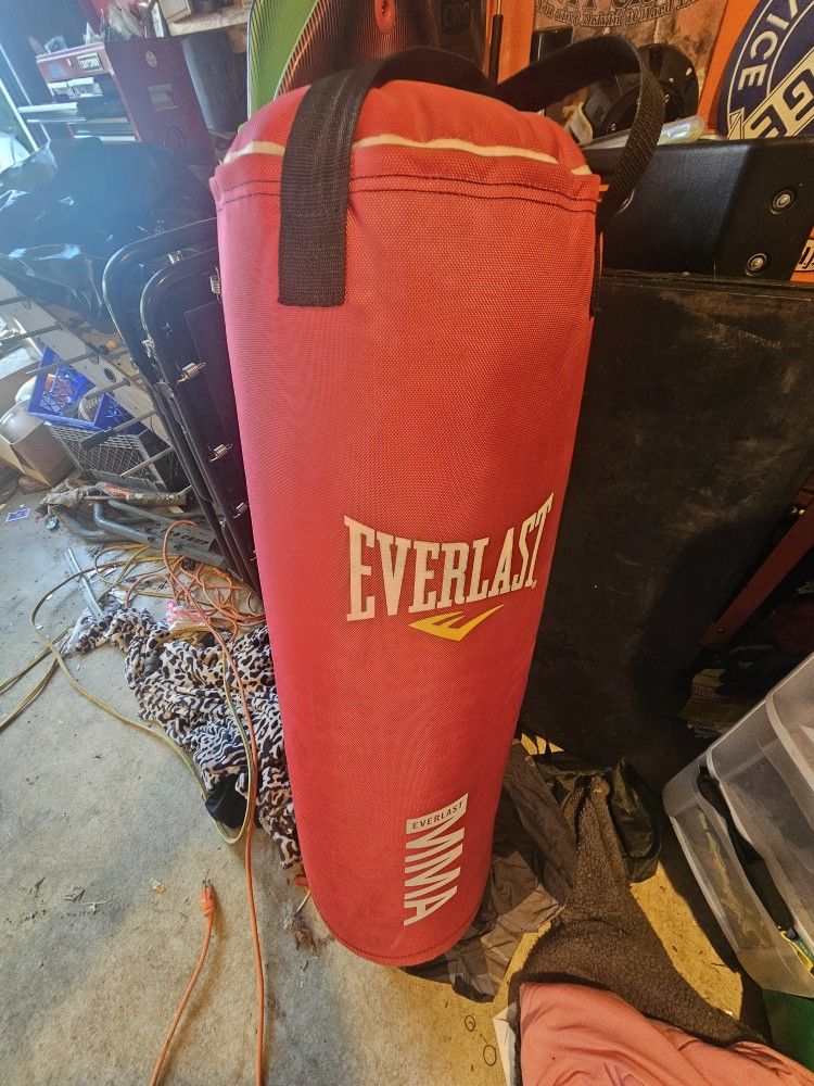 80 Lbs Everlast Punching Bag