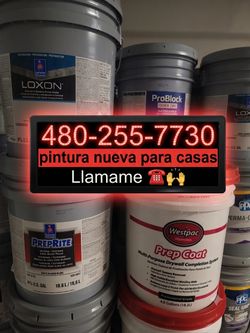 Paint and primer