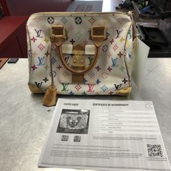 1003 Louis Vuitton Speedy 30 LVxTM Multicolor Handbag Entropy Authenticated 006751