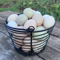 Farm Fresh Eggs 🥚Back In Stock 🥚