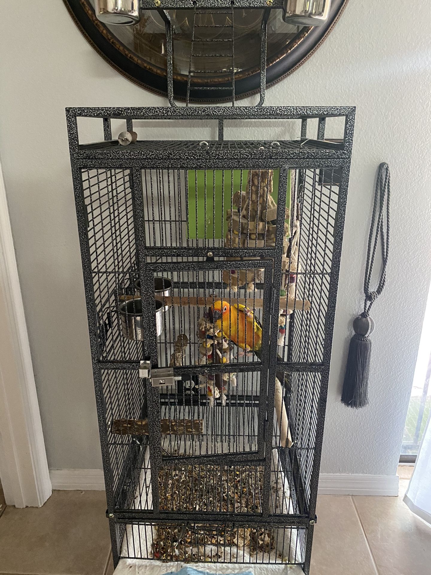 Bird cage for sale