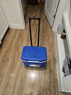 Igloo Profile II 28 Roller