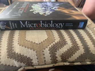 Micro Biology 