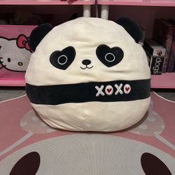 Panda Valentines Day Medium Squishmallow