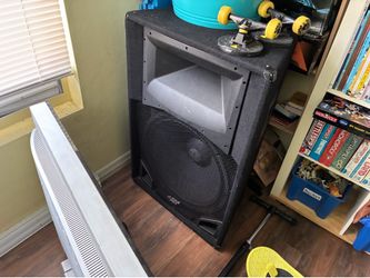 Large Speaker