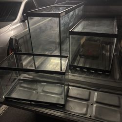 Fish Tanks 