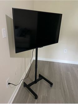 Flat Screen TV with Rolling Floor Stand