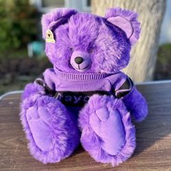  Vintage 80s 1985 Purple Crayola  Crayons 18” Plush  Teddy Bear Stuffed Animal New with Tag