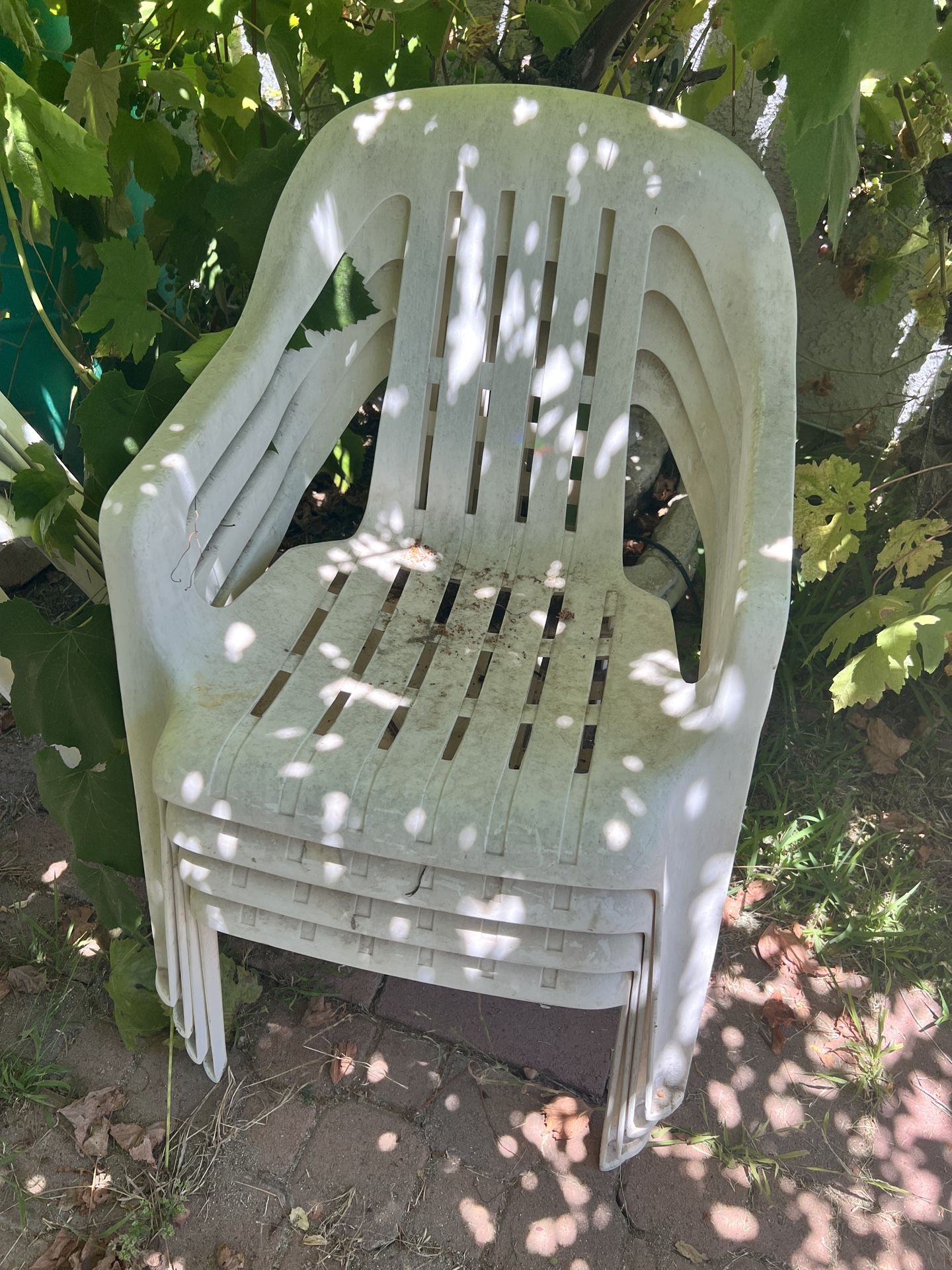 Patio Chairs