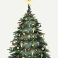 Mom Of 4 Boys In Need 