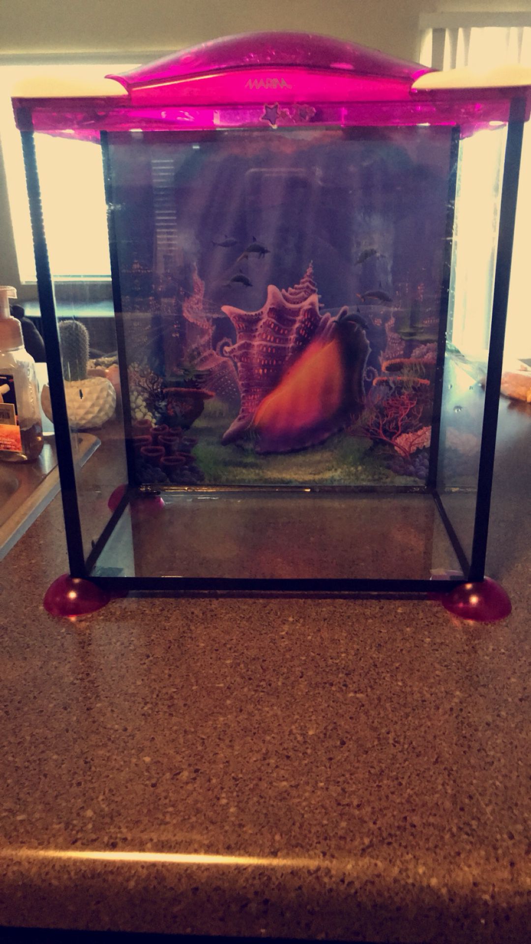 Pink Fish tank