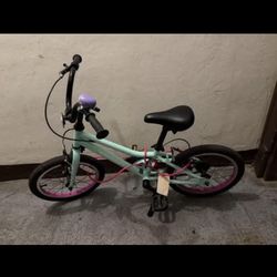 Guardian Kids Bike Mint Green Purple 16 inch for 3-6 years old