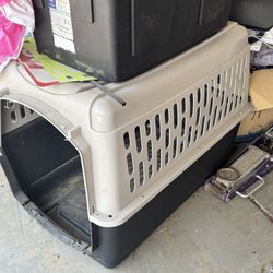 Big Dog Kennel 