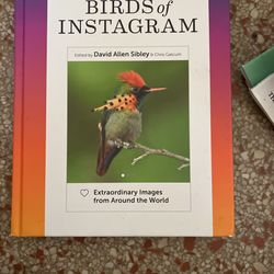 Birds Of Instagram