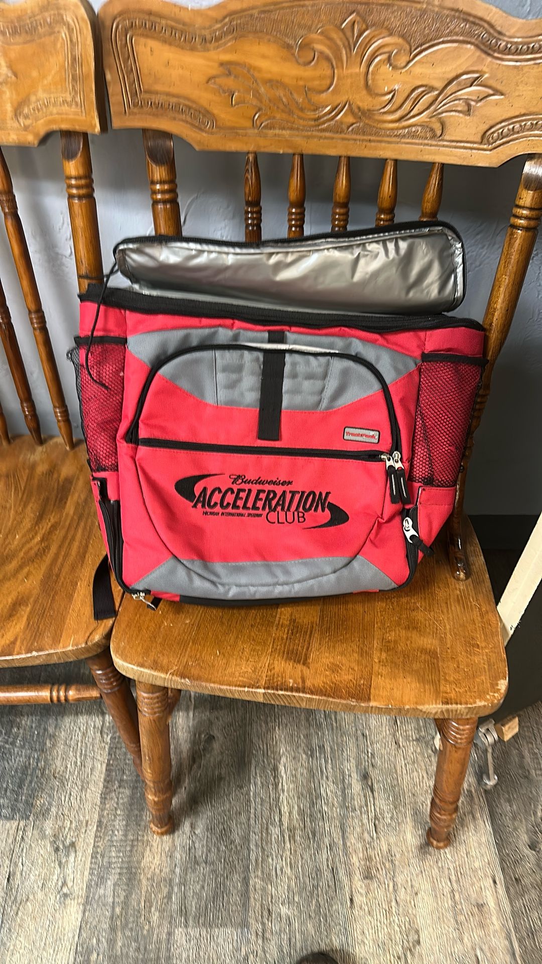 Back Pack Ice Cooler Never Used