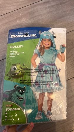 Monsters Inc Sulley Costume