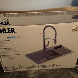 Kohler Pro-Function. Sink Kit