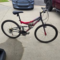 Adult Bike
