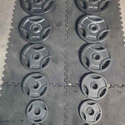 Complete Olympic Weight Set 2x45lbs 2x35lbs 2x25lbs 2x10lbs 2x5lbs 2x2½lbs That's 245lbs All Together 